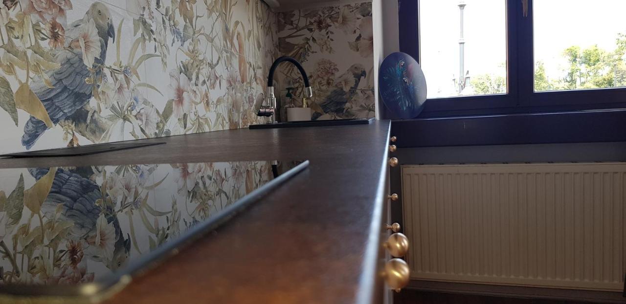 Astronomiczny Apartament , Mieszkanie 2 Pokojowe. Parking. Stary Toruń 外观 照片